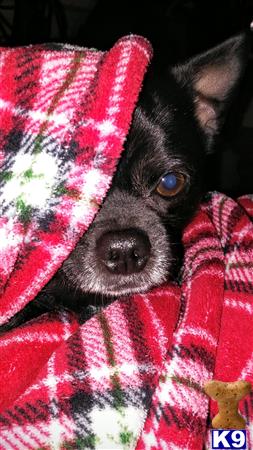 Tammi67 Picture 2